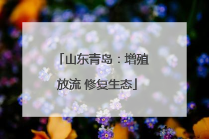 山东青岛：增殖放流 修复生态