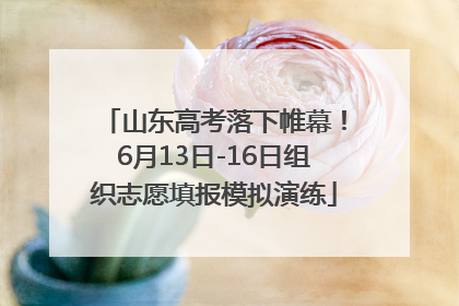 山东高考落下帷幕！6月13日-16日组织志愿填报模拟演练