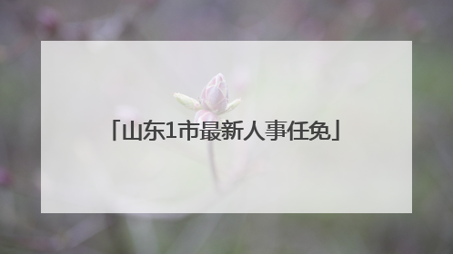 山东1市最新人事任免