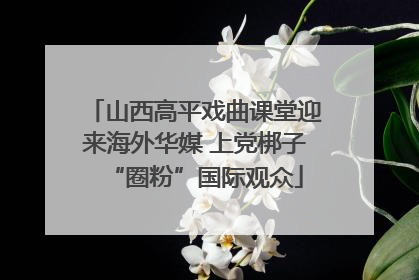 山西高平戏曲课堂迎来海外华媒 上党梆子“圈粉”国际观众