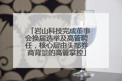 岩山科技完成董事会换届选举及高管聘任，核心层由头部券商背景的高管掌控
