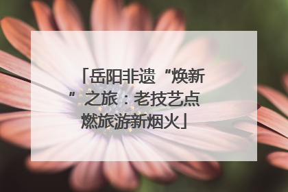 岳阳非遗“焕新”之旅：老技艺点燃旅游新烟火