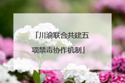 川渝联合共建五项禁毒协作机制
