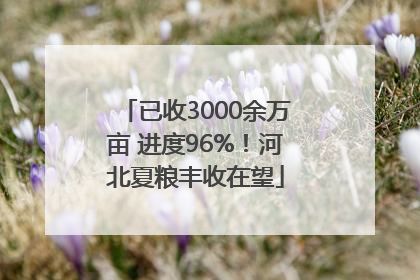 已收3000余万亩 进度96%！河北夏粮丰收在望