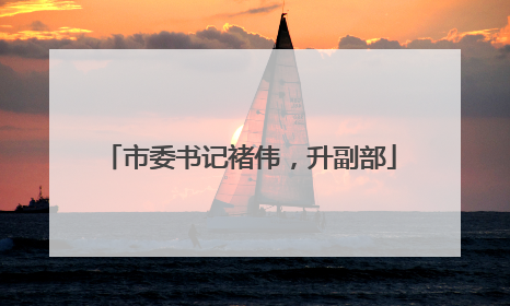 市委书记褚伟，升副部