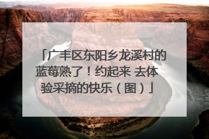 广丰区东阳乡龙溪村的蓝莓熟了！约起来 去体验采摘的快乐（图）