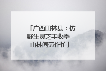 广西田林县：仿野生灵芝丰收季 山林间劳作忙