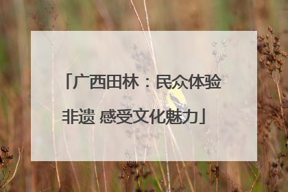 广西田林：民众体验非遗 感受文化魅力