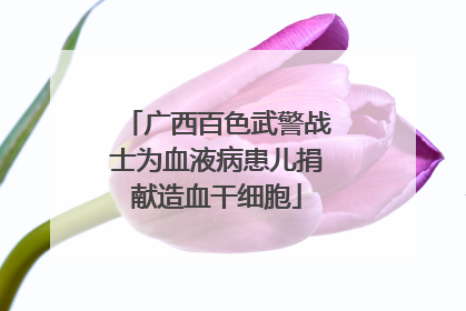 广西百色武警战士为血液病患儿捐献造血干细胞