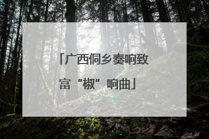 广西侗乡奏响致富“椒”响曲