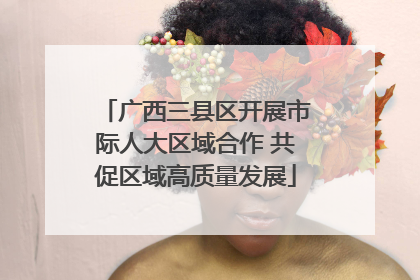 广西三县区开展市际人大区域合作 共促区域高质量发展