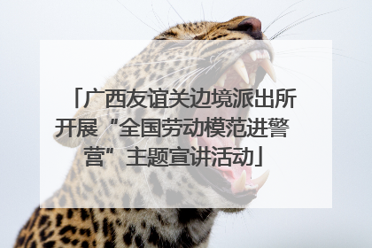 广西友谊关边境派出所开展“全国劳动模范进警营”主题宣讲活动