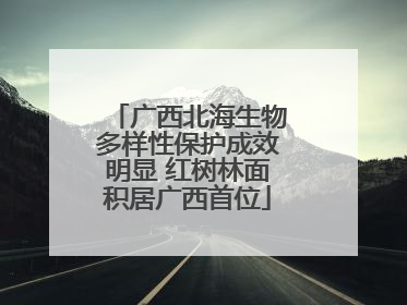 广西北海生物多样性保护成效明显 红树林面积居广西首位
