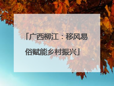 广西柳江：移风易俗赋能乡村振兴