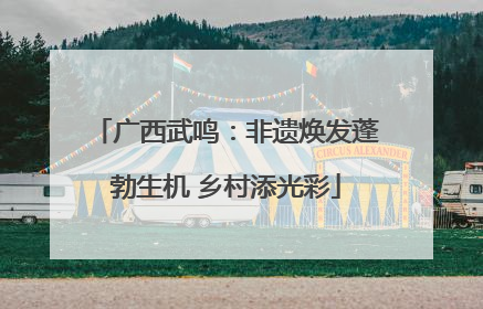 广西武鸣：非遗焕发蓬勃生机 乡村添光彩
