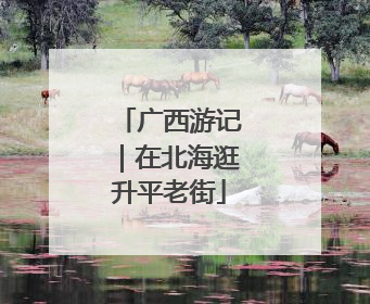 广西游记｜在北海逛升平老街