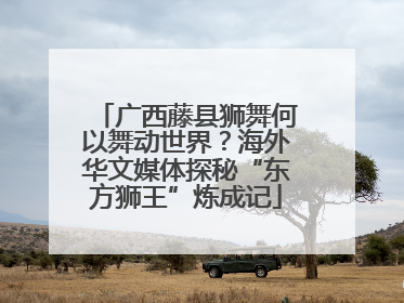 广西藤县狮舞何以舞动世界？海外华文媒体探秘“东方狮王”炼成记