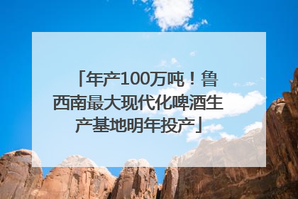 年产100万吨！鲁西南最大现代化啤酒生产基地明年投产
