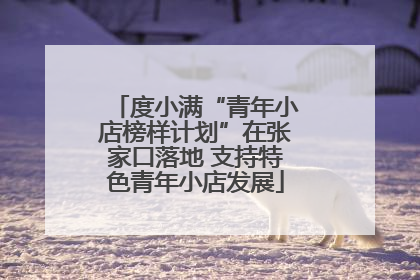 度小满“青年小店榜样计划”在张家口落地 支持特色青年小店发展