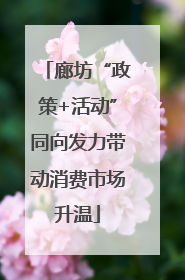 廊坊“政策+活动”同向发力带动消费市场升温