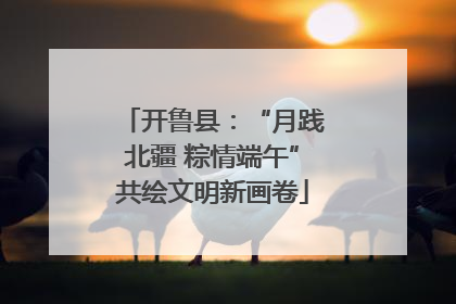开鲁县：“月践北疆 粽情端午”共绘文明新画卷