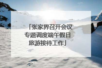 张家界召开会议专题调度端午假日旅游接待工作