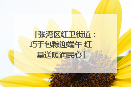 张湾区红卫街道：巧手包粽迎端午 红星送暖润民心