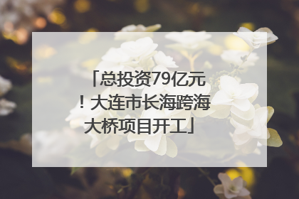 总投资79亿元！大连市长海跨海大桥项目开工