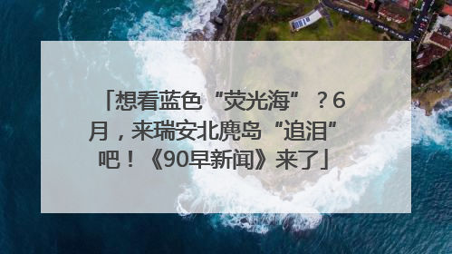 想看蓝色“荧光海”？6月，来瑞安北麂岛“追泪”吧！《90早新闻》来了