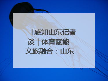 感知山东记者谈｜体育赋能 文旅融合：山东打造体商文旅融合发展新格局