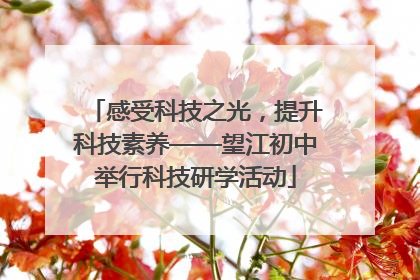 感受科技之光，提升科技素养——望江初中举行科技研学活动