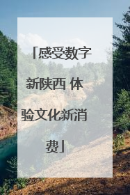 感受数字新陕西 体验文化新消费