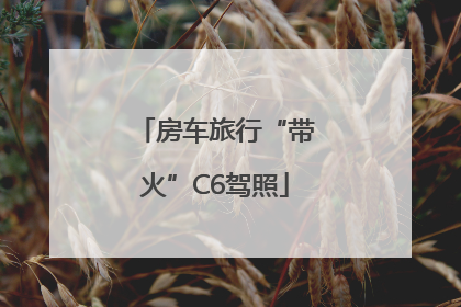 房车旅行“带火”C6驾照