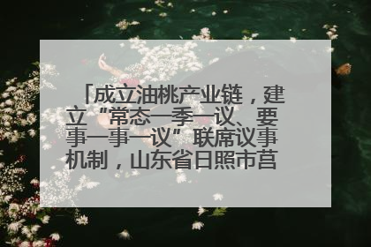 成立油桃产业链，建立“常态一季一议、要事一事一议”联席议事机制，山东省日照市莒县果庄镇——13个党小组“全周期”育果