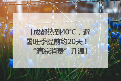成都热到40℃，避暑旺季提前约20天！“清凉消费”升温