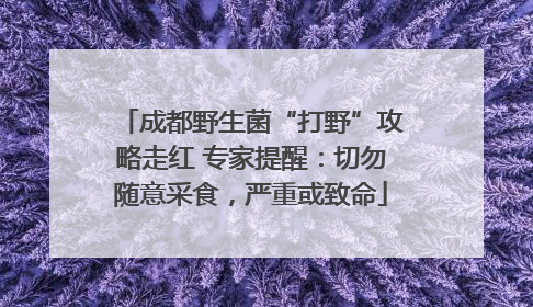 成都野生菌“打野”攻略走红 专家提醒：切勿随意采食，严重或致命
