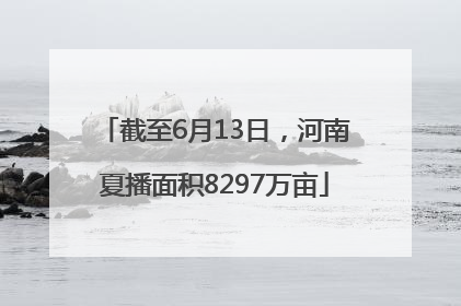 截至6月13日，河南夏播面积8297万亩