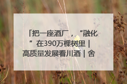 把一座酒厂，“融化”在390万棵树里｜高质量发展看川酒｜舍得酒｜舍得酒业｜舍得老酒｜沱牌酒
