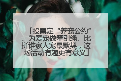 投票定“养宠公约”、为爱宠做牵引绳、比拼谁家人宠最默契，这场活动有趣更有意义
