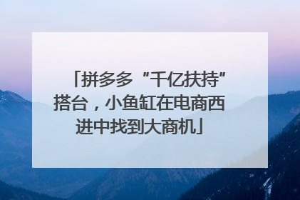 拼多多“千亿扶持”搭台，小鱼缸在电商西进中找到大商机