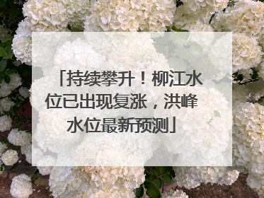 持续攀升！柳江水位已出现复涨，洪峰水位最新预测