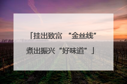 挂出致富 “金丝线” 煮出振兴“好味道”