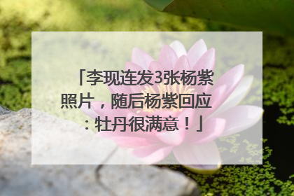 李现连发3张杨紫照片，随后杨紫回应：牡丹很满意！