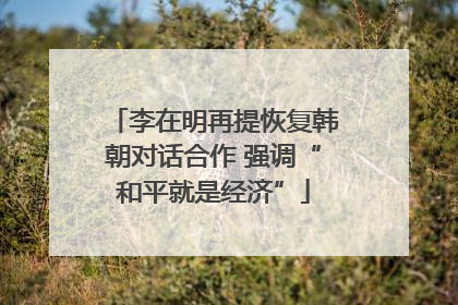 李在明再提恢复韩朝对话合作 强调“和平就是经济”