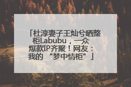 杜淳妻子王灿兮晒整柜Labubu，一众爆款IP齐聚！网友：我的 “梦中情柜”