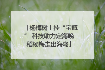 杨梅树上挂“宝瓶” 科技助力定海晚稻杨梅走出海岛