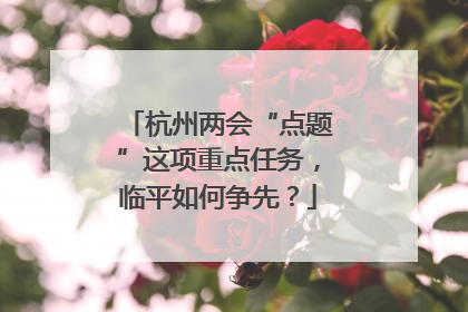 杭州两会“点题”这项重点任务，临平如何争先？