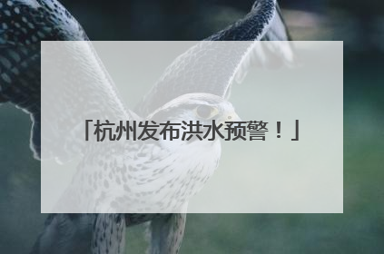 杭州发布洪水预警！