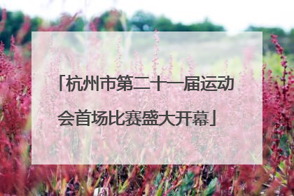 杭州市第二十一届运动会首场比赛盛大开幕