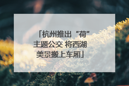 杭州推出“荷”主题公交 将西湖美景搬上车厢